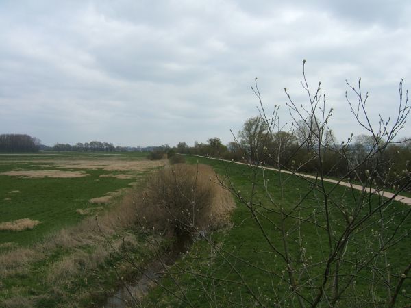 DSCF7831.JPG