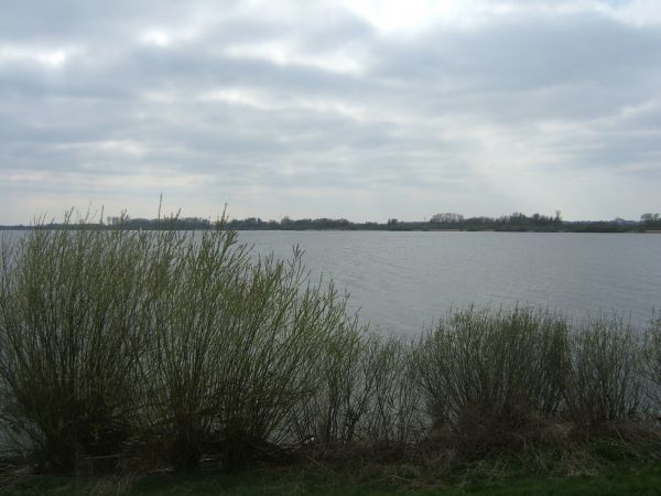 DSCF7832.JPG