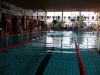 Wagenfeld_03-10-2009_Steffi_031.jpg