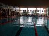 Wagenfeld_03-10-2009_Steffi_035.jpg