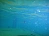 DSC00029.JPG