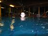 DSC00204.JPG