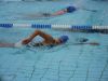 Haseluenne_2011-06-19_F071.JPG