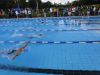 DSC07570.JPG