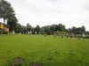 DSC07741.JPG