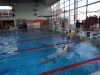 DSC08231.JPG